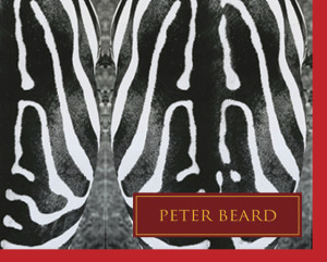 PeterBeard-ZebraRepeat-Zebrina-TrdmrkCorner-2015