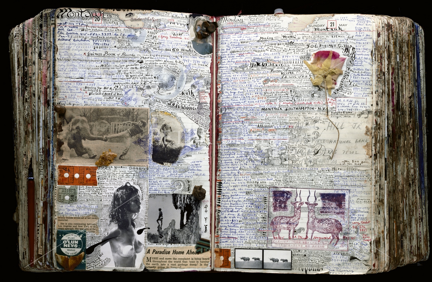 Diary Pages, Tokyo Memories – Peter Beard Studio